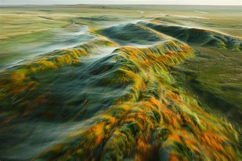 Nature Plants 的图像结果