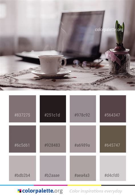 Co-Pilot Color Scheme 的图像结果