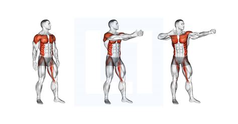 Cable Kickback - Guide, Benefits, and Form