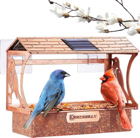 Amazon.com : Accrie Outdoor Wooden DIY Bird Nest Cage Bird Feeder with ...