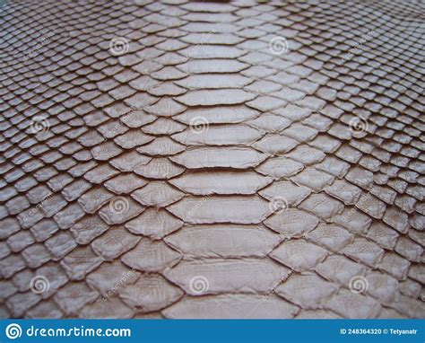 Image result for Pink Python Skin