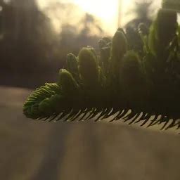 Best Top Rated Train station in Ramkanali, West Bengal, India | Yappe.in