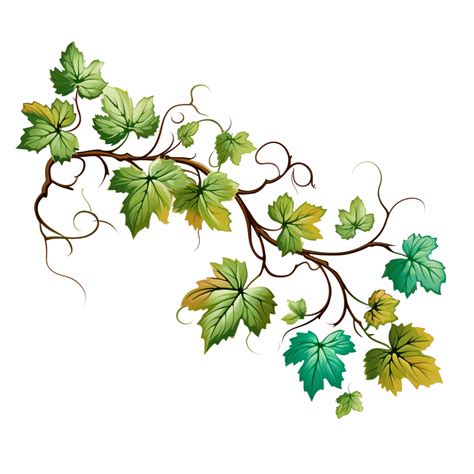 leaves on a vine clipart - Clip Art Library