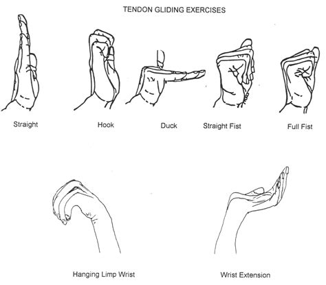 Image result for Ulnar Nerve Glide Hand Out | Hand therapy exercises ...