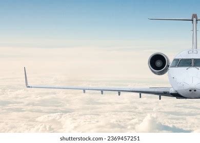 Fly Front View 的图像结果