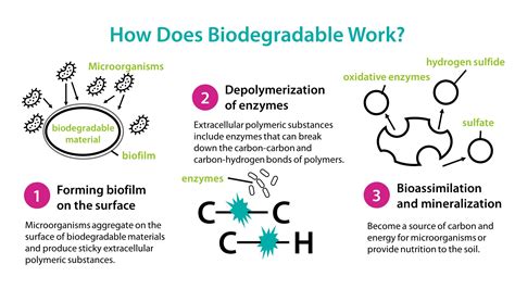 Biodegradable 的图像结果