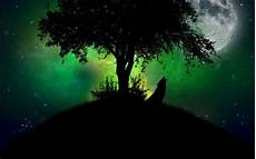 cool green wolf wallpaper 29 wolf backgrounds wallpapers images design trends cool green wolf wallpaper 29 wolf backgrounds wallpapers images design trends