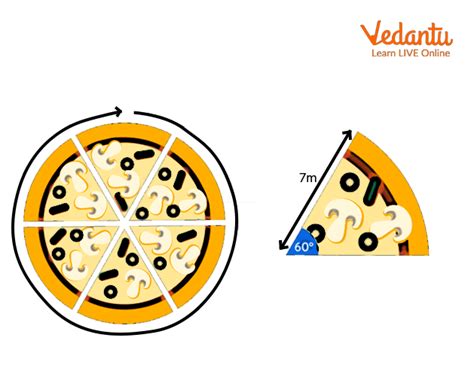 Sector Shape 的图像结果