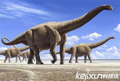 若恐龙不灭绝，人类还会出现吗？科学家的答案让人细思极恐|恐龙|灭绝|哺乳动物_新浪新闻