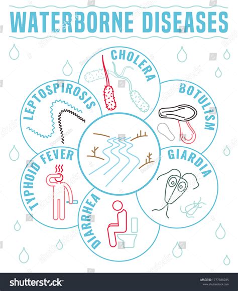 Waterborne Logo