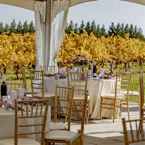 Vineyard Weddings at Bella Terra Vineyards - Vintage Hotels