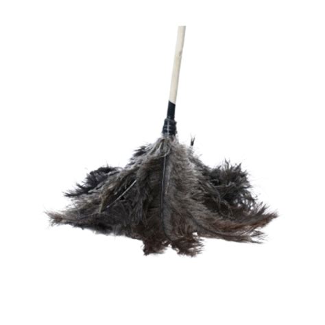 Using Feather Duster 的图像结果