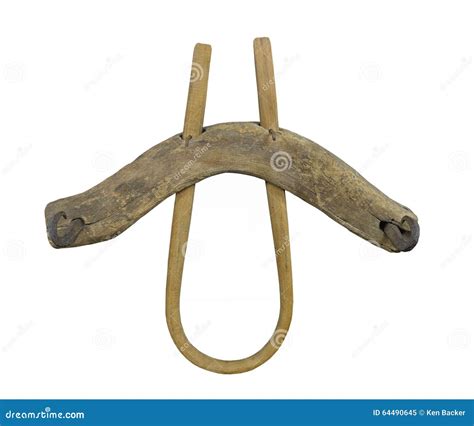 What Is An Animal Yoke at Angela Link blog