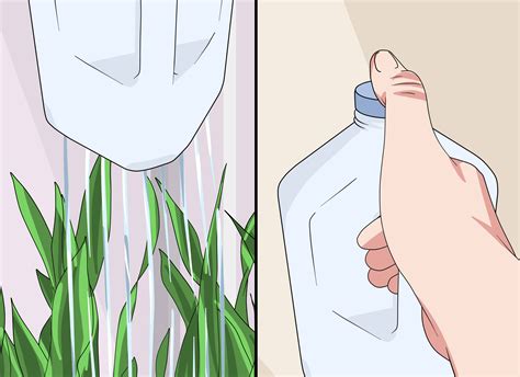 3 Ways to Make a Bottle Watering Can - wikiHow