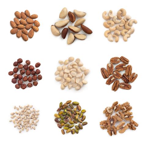 Names Of Nuts at Marie Renda blog
