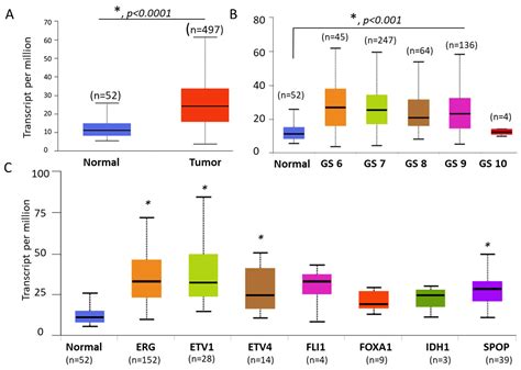 Transmembrane and Tetratricopeptide Repeat Containing 4 Is a Novel ...