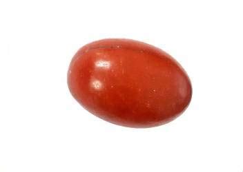 Buy PANDIT NM SHRIMALIPANDIT NM SHRIMALI Natural Narmadeshwar Shiva ...