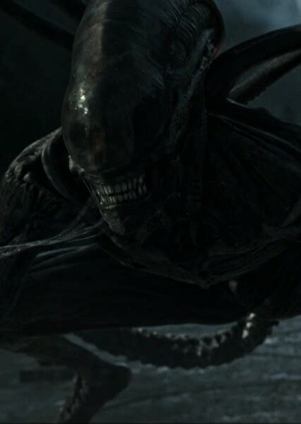 Alien Awakening 2020 的图像结果