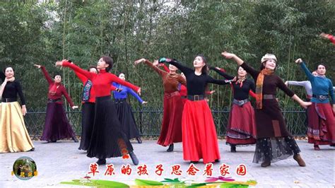 《站在草原望北京》32步背面分解动作,舞蹈,广场舞,好看视频