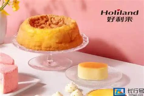 中国十大蛋糕店排名(蛋糕店什么牌子好)_金纳莱网