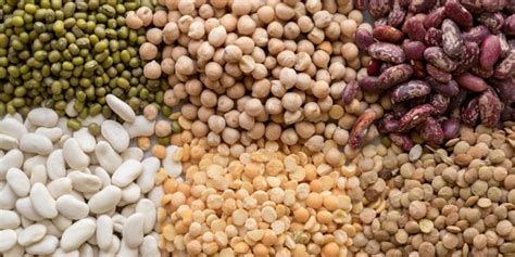 El alimento que muchos olvidan en verano: por qué las judías, los ...