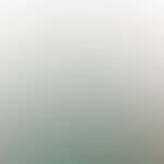 Buy Prestige Tri Ply Splendor Stainless Steel Gas & Induction ...