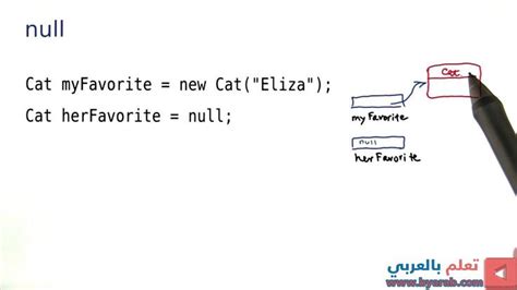 Null in Programming Java 的图像结果