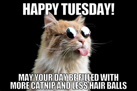 20 Hilarious Tuesday Work Memes That Hit Just Right