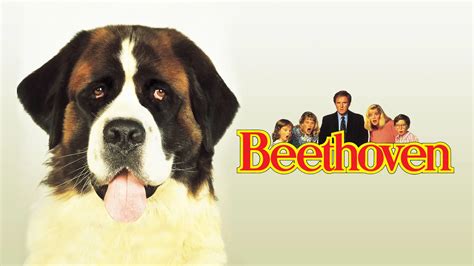Beethoven 1992 Full Movie Online - Watch HD Movies on Airtel Xstream Play