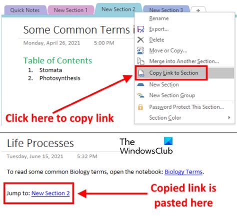 Image result for Link Paragraphs in OneNote