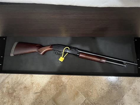 best graduation gift. : r/Shotguns