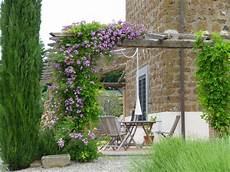 Climbing Plants For Arbors by 19 Best Pergola Plants Climbing Plants For Pergolas And Climbing Plants For Arbors