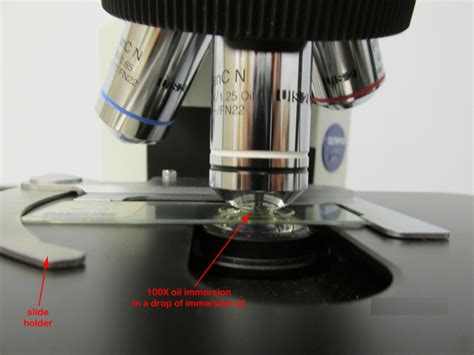 Microbiology Lab Microscope 的图像结果