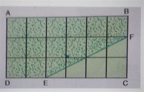 Area of triangle ECF = - Brainly.in