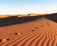 Image result for desert