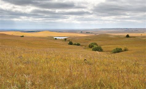 Facts of Plains: Geography, Wildlife, and Culture
