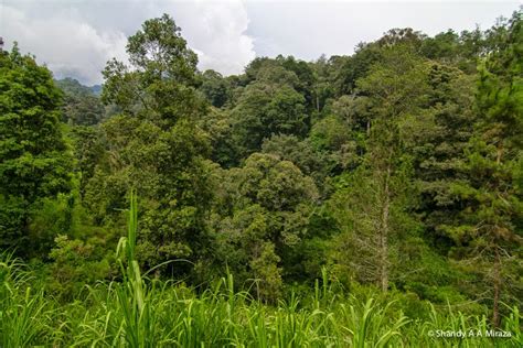Wisata Adventure Air Terjun Coban Lawe Ponorogo - Ratjoen.in