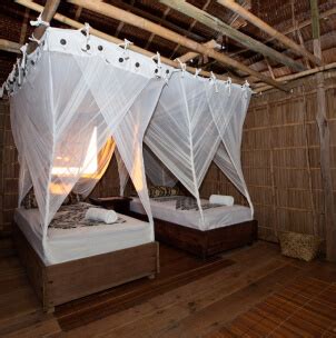 Kri Eco Resort | The Pioneering Resort | Papua Diving