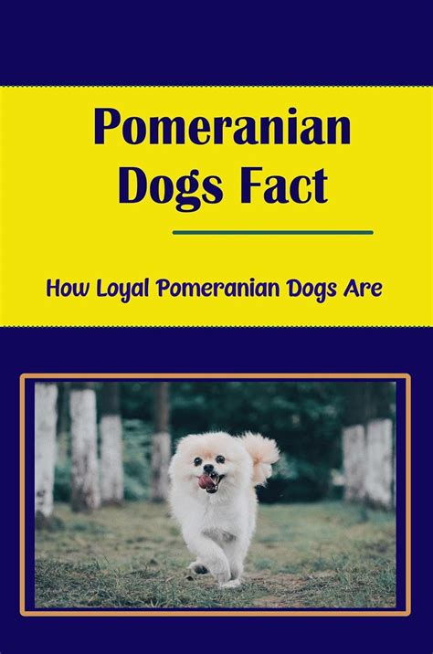 Pomeranian Dogs Fact: How Loyal Pomeranian Dogs Are eBook : Luensmann ...