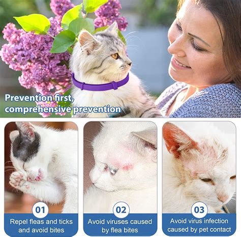 2 Pack Cat Flea Collar | 8 Months Protection | Repels Fleas & Ticks ...