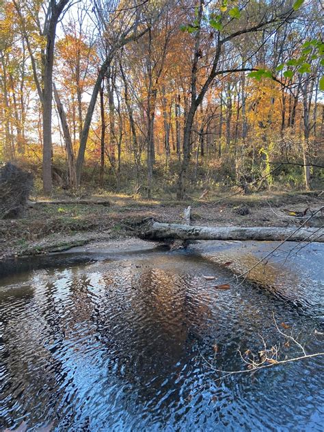Cabin John Regional Park - 7400 Tuckerman Ln, Bethesda, MD 20817 ...
