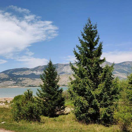 MTB Blidinje (Blidinje Nature Park) - All You Need to Know BEFORE You Go