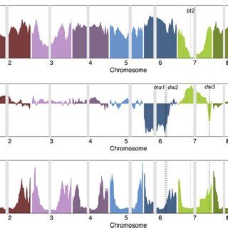 Genome Variation 的图像结果