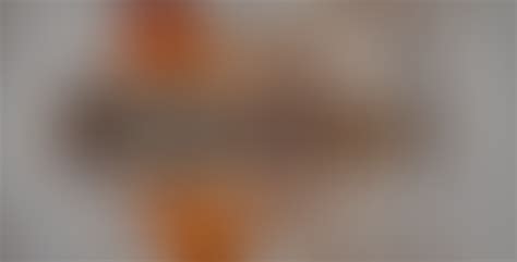 Fly Insect 的图像结果