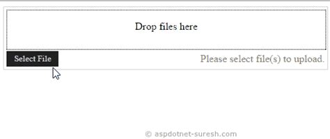Image result for Display the Files File Upload Control Asp.net Web Forms