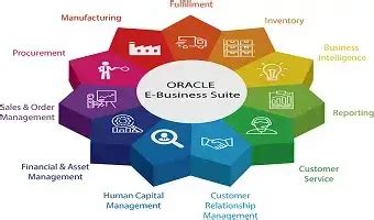 Oracle E business suite | Lighthouse ERP