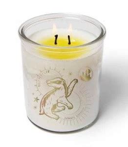 Harry Potter: Magical Colour-Changing Hufflepuff Candle (10 oz): Buy ...