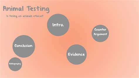 Image result for Animal Testing Controversy