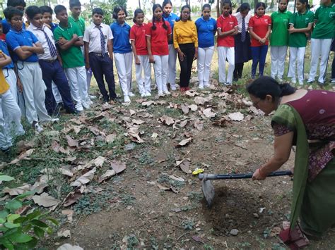 Indian Public School