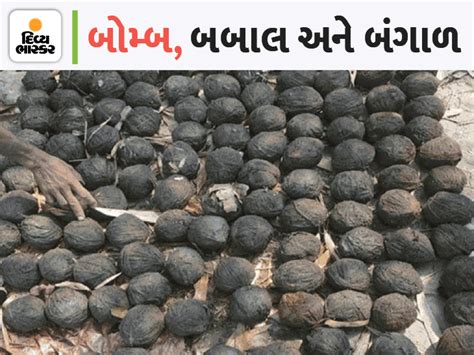 24 કલાકમાં 9 જિલ્લામાંથી 350થી વધુ બોમ્બ મળ્યા, બીરભૂમ હિંસા બાદ પોલીસ ...